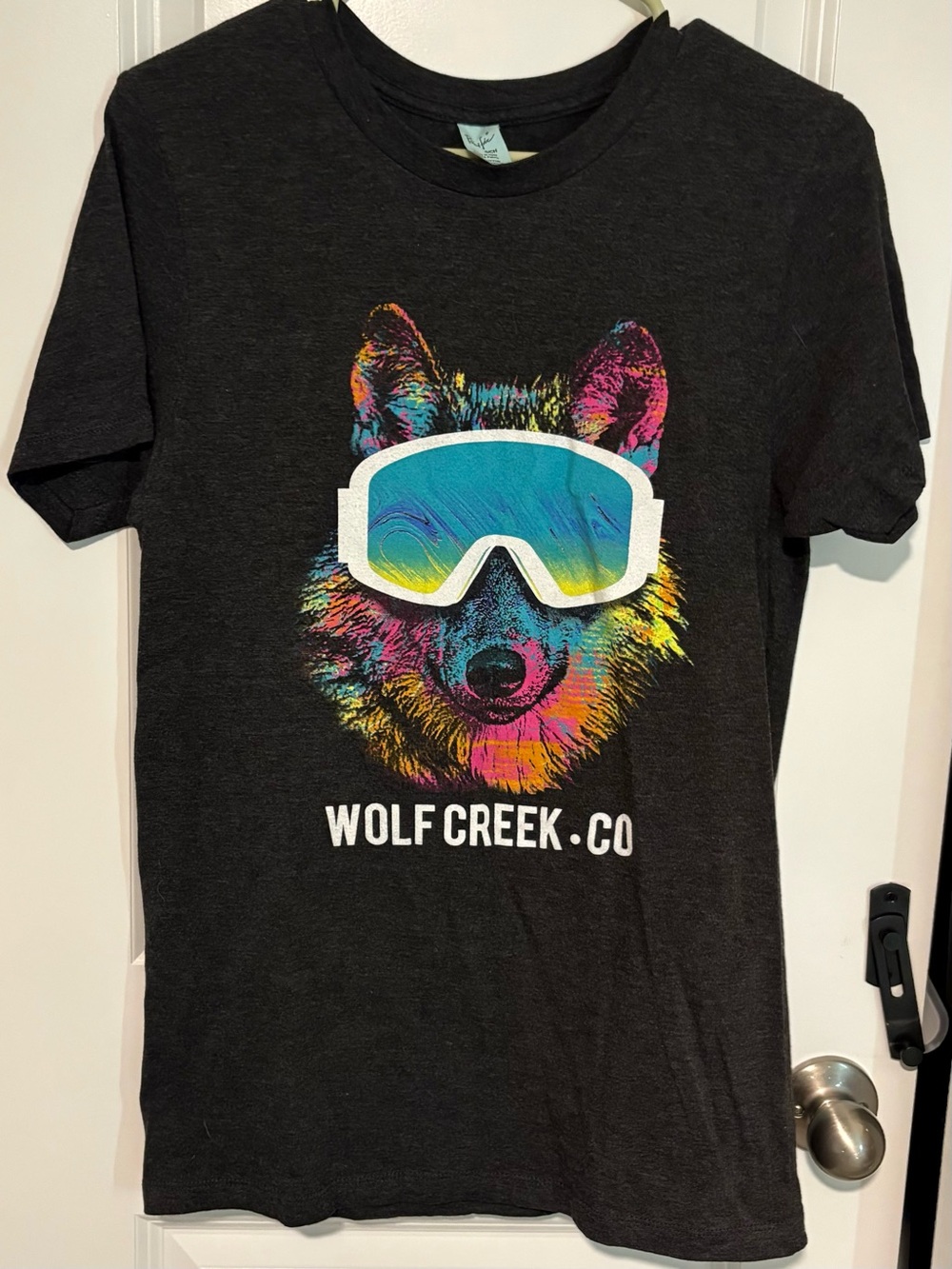 ⭐️2 for $15⭐️Pacific Men’s Gray Tee with Multicolor Wolf Graphic